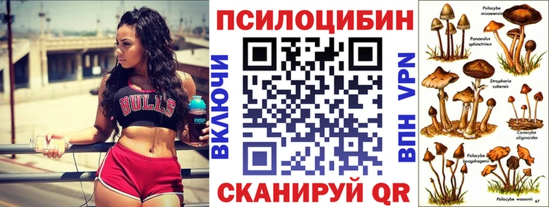 Псилоцибиновые грибы GOLDEN TEACHER  Щёлково 