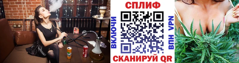 Марихуана сатива  купить   Щёлково 